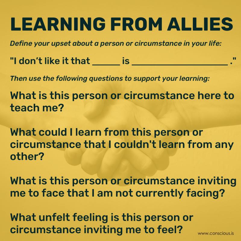 Learning From Allies