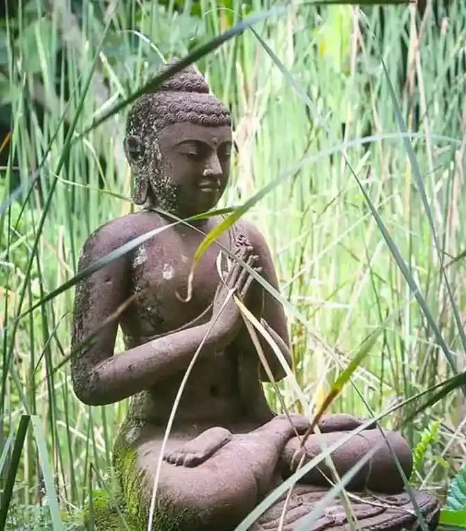 A Weathered Stone Buddha Seated Among Tall Green Reeds