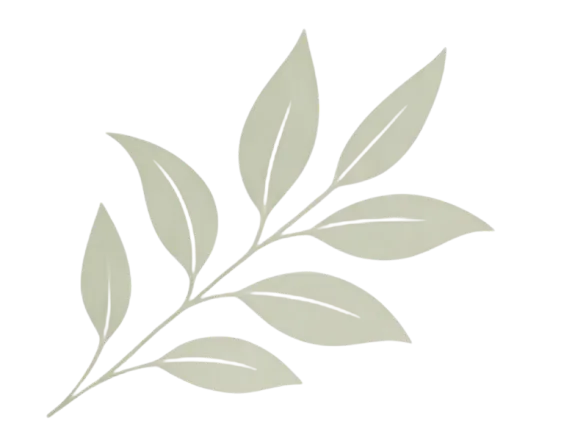 Decorative leaf background